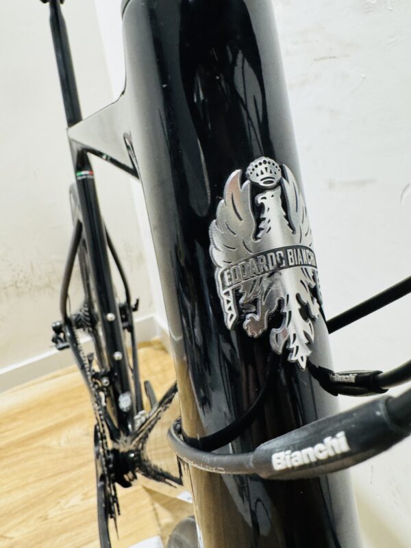 Bianchi Aria Carbon Disc, Campagnolo Chorus 2x12, Fulcrum (59) - Image 6